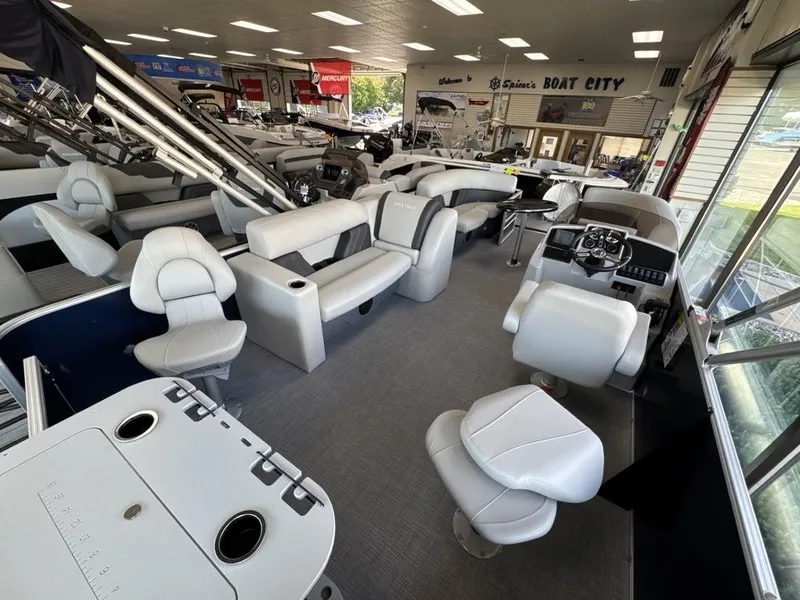 Slide: The Image of Sylvan MIRAGE 8520 PARTY FISH 2026 - 42