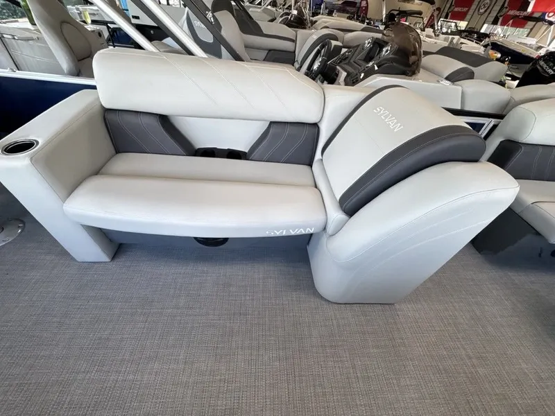 Slide: The Image of Sylvan MIRAGE 8520 PARTY FISH 2026 - 20