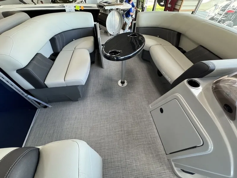 Slide: The Image of Sylvan MIRAGE 8520 PARTY FISH 2026 - 9