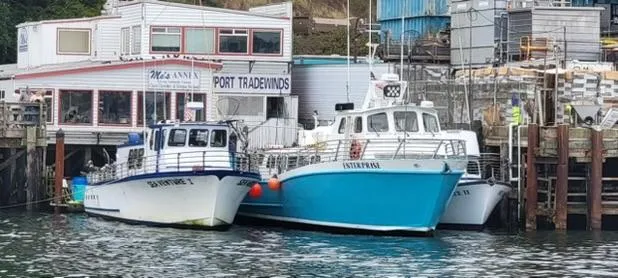 Slide: The Image of Swiftships Charter Boat 1983 - 4