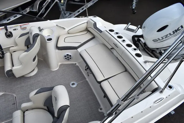 Slide: The Image of Stingray 201DC 2024 - 13