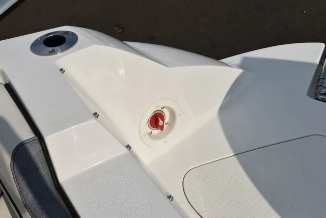 Slide: The Image of Stingray 201DC 2024 - 28
