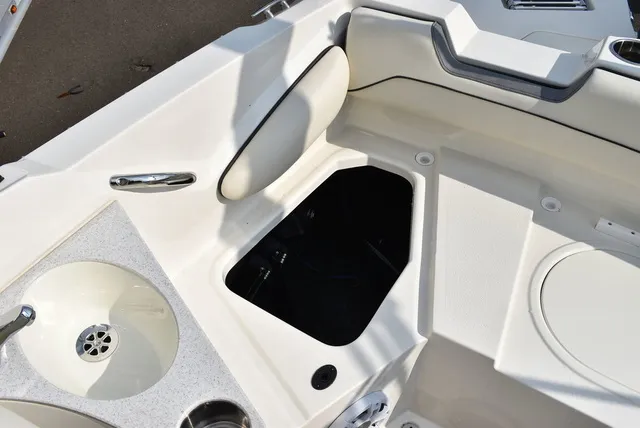 Slide: The Image of Stingray 201DC 2024 - 27