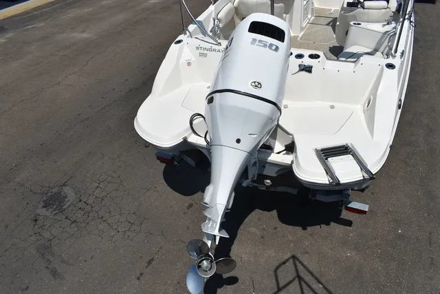 Slide: The Image of Stingray 201DC 2024 - 7