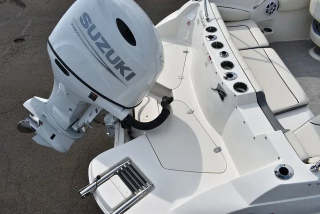 Slide: The Image of Stingray 201DC 2024 - 17
