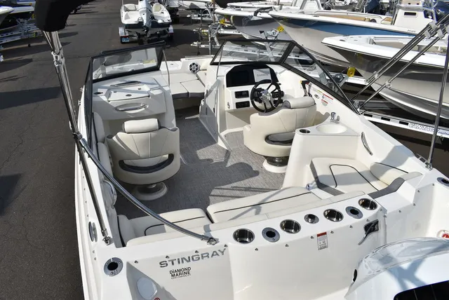 Slide: The Image of Stingray 201DC 2024 - 11