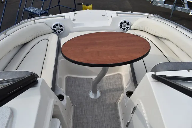Slide: The Image of Stingray 201DC 2024 - 58