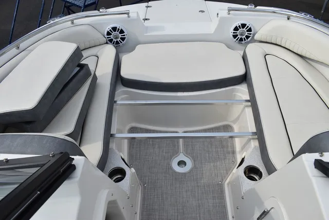 Slide: The Image of Stingray 201DC 2024 - 54