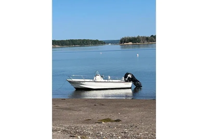The Image of Boston Whaler 190 Montauk 2008 - 2