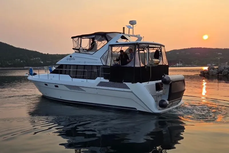 The Image of Bayliner 4387 Motoryacht 1994 - 0