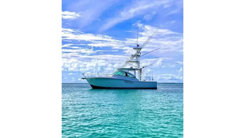 Slide: The Image of ALBEMARLE 360 Express Fisherman 2008 - 1
