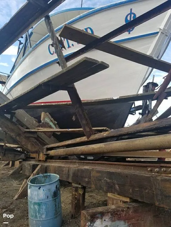 Slide: The Image of Landry 52 1988 - 13977570