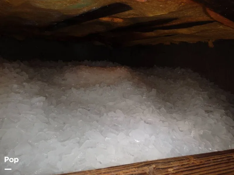 Slide: The Image of Landry 52 1988 - 8920074