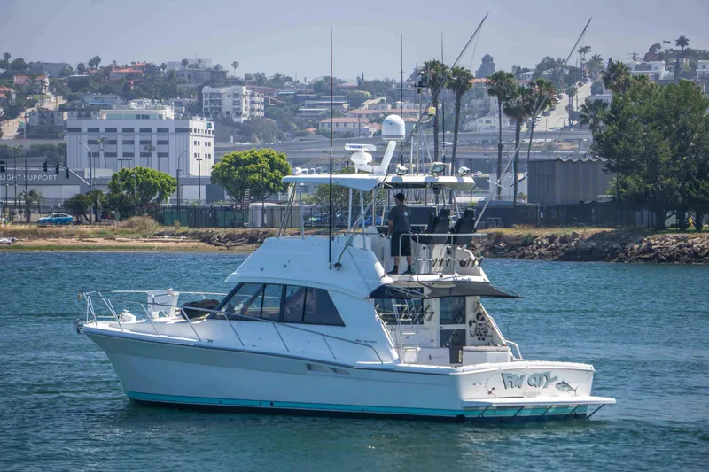 The Image of Riviera 43 Convertible 1999 - 0