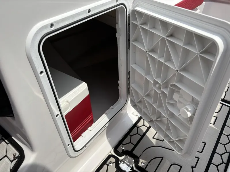 The Image of Scarab 215 ID 2019 - 0