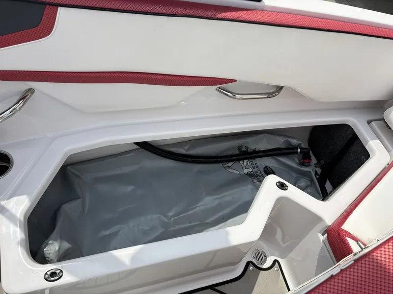 Slide: The Image of Scarab 215 ID 2019 - 21