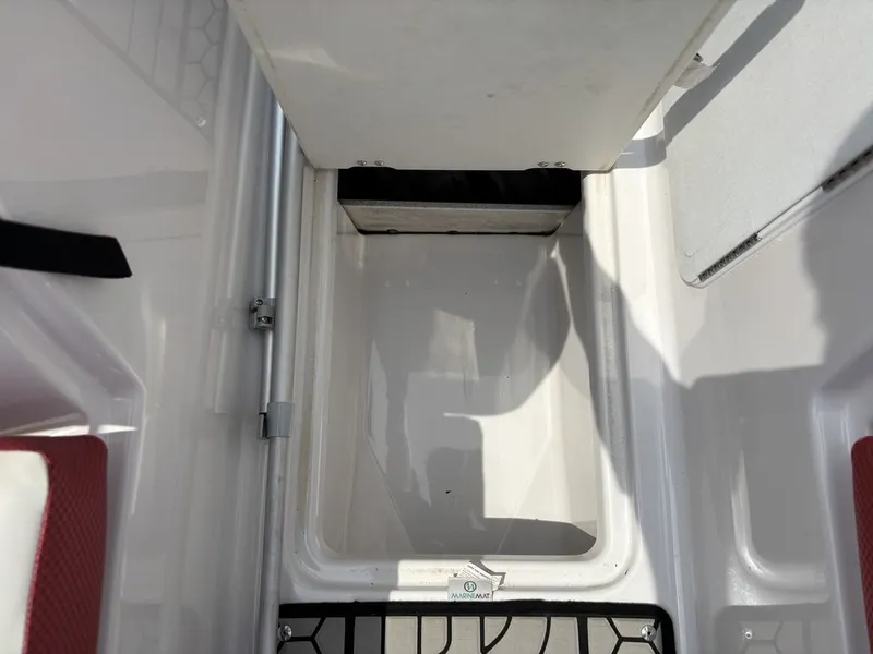 Slide: The Image of Scarab 215 ID 2019 - 29