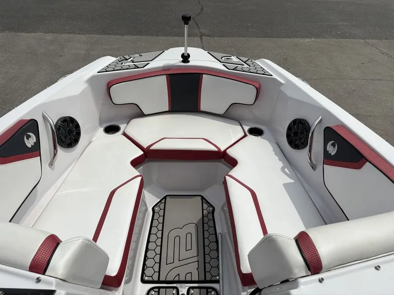 Slide: The Image of Scarab 215 ID 2019 - 5