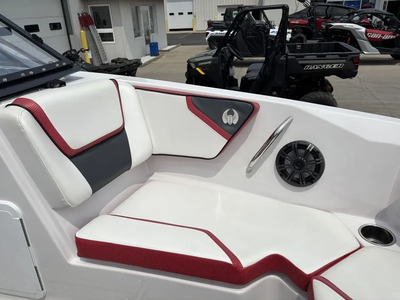 Slide: The Image of Scarab 215 ID 2019 - 6