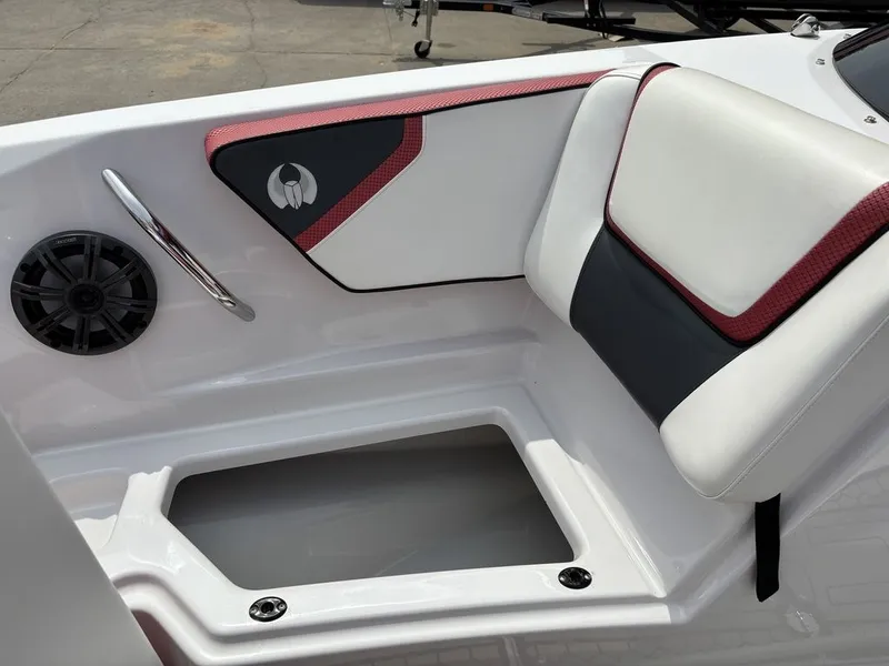 Slide: The Image of Scarab 215 ID 2019 - 8