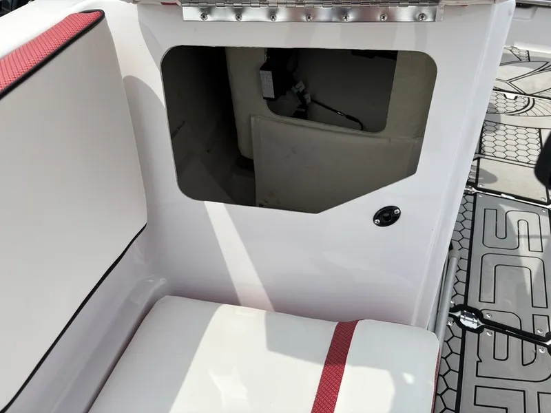 Slide: The Image of Scarab 215 ID 2019 - 9