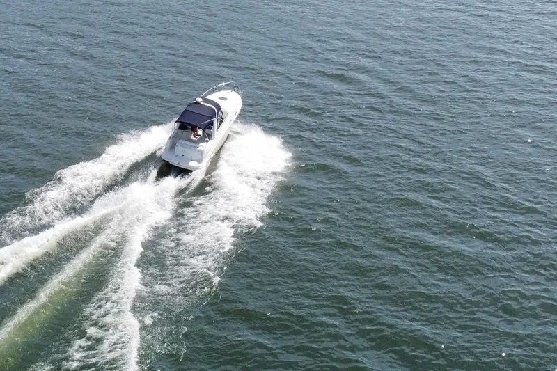 Slide: The Image of Sea Sundancer 260 2006 - 12
