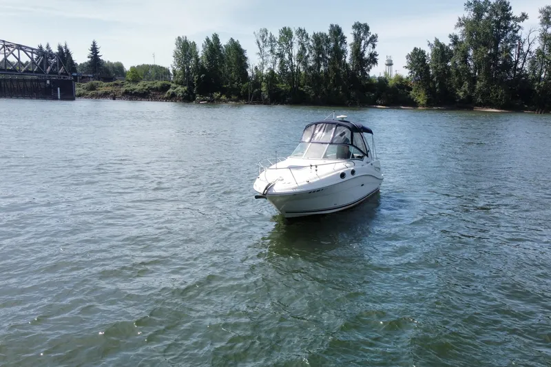 Slide: The Image of Sea Sundancer 260 2006 - 10