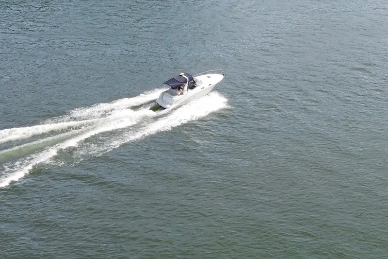 Slide: The Image of Sea Sundancer 260 2006 - 14