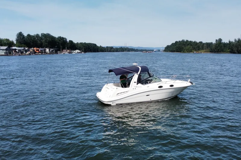 Slide: The Image of Sea Sundancer 260 2006 - 13