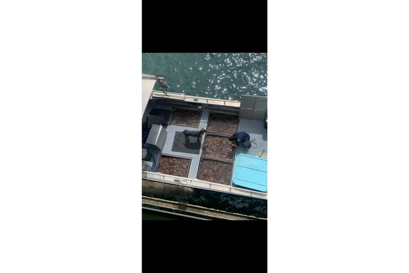 Slide: The Image of Custom Aluminum Crabber 2021 - 33