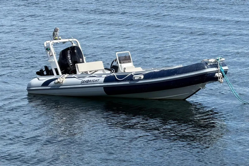 The Image of Custom Seabright 460 2026 - 0
