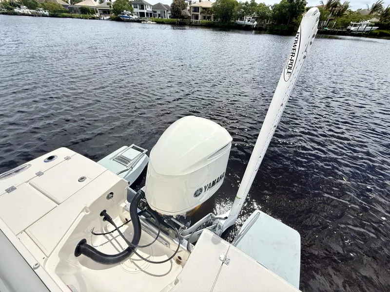 Slide: The Image of Robalo 2021 - 12