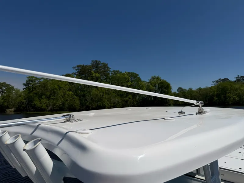 Slide: The Image of Tidewater Carolina Bay 2024 - 15