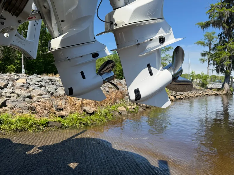 Slide: The Image of Tidewater Carolina Bay 2024 - 19