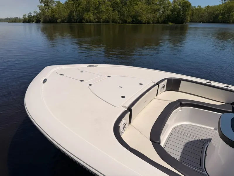 Slide: The Image of Tidewater Carolina Bay 2024 - 2