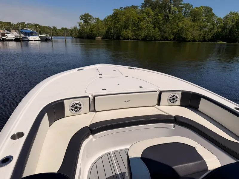 Slide: The Image of Tidewater Carolina Bay 2024 - 3
