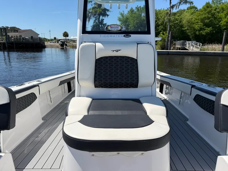 Slide: The Image of Tidewater Carolina Bay 2024 - 7