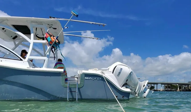 Slide: The Image of Sea Fox 288 Traveler 2025 - 2