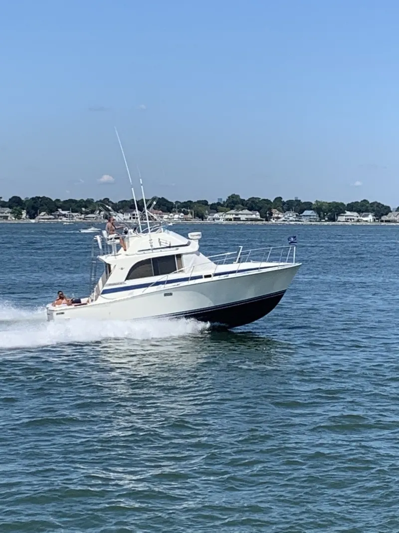 The Image of Bertram Flybridge Cruiser 1985 - 0