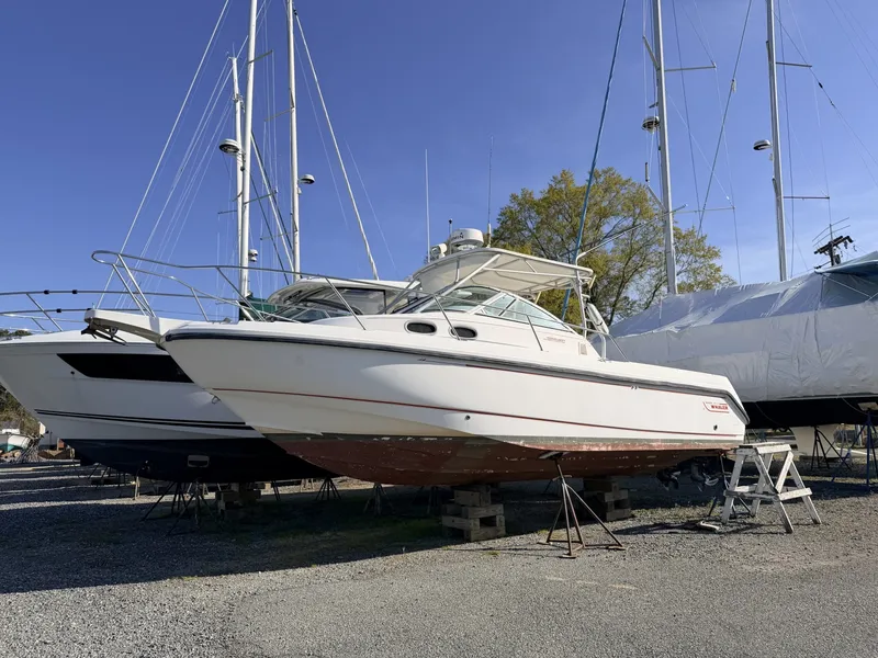 The Image of Boston Whaler 2000 - 0