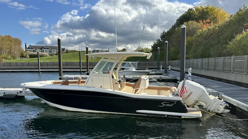 The Image of Scout 255 LXF 2017 - 0