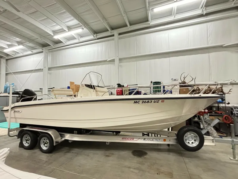 The Image of Boston Whaler 250 Dauntless 2024 - 0