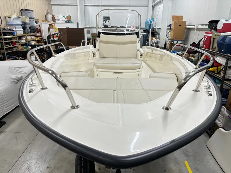 Slide: The Image of Boston Whaler 250 Dauntless 2024 - 10