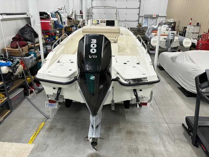 Slide: The Image of Boston Whaler 250 Dauntless 2024 - 13
