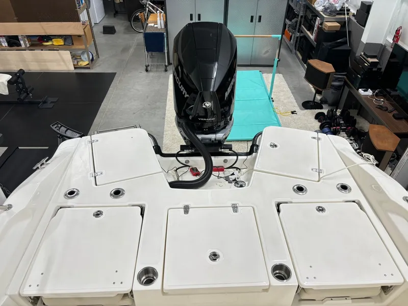 Slide: The Image of Boston Whaler 250 Dauntless 2024 - 16