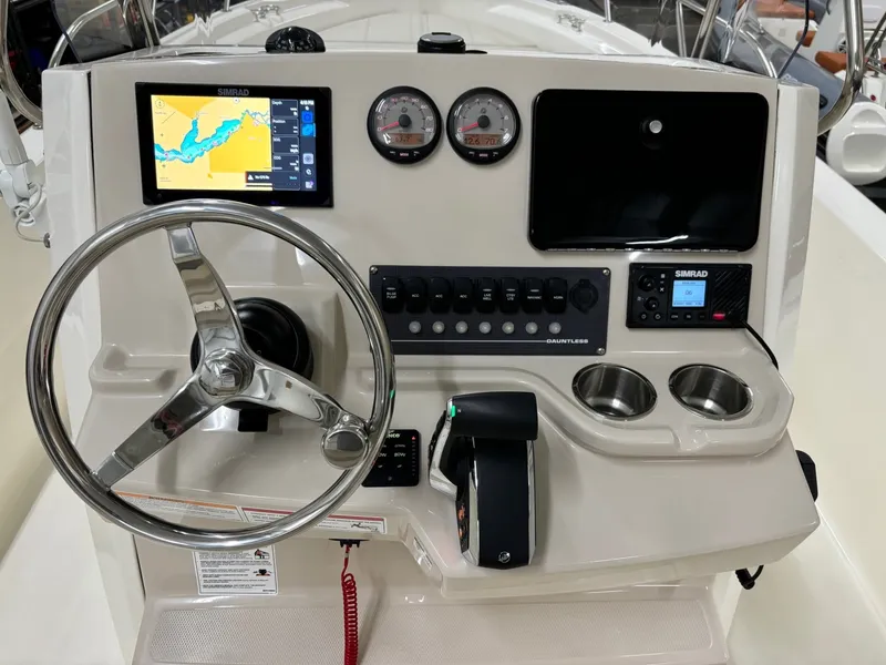 Slide: The Image of Boston Whaler 250 Dauntless 2024 - 18