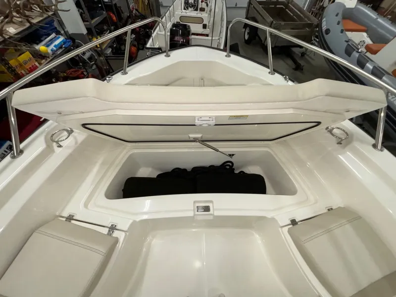 Slide: The Image of Boston Whaler 250 Dauntless 2024 - 22
