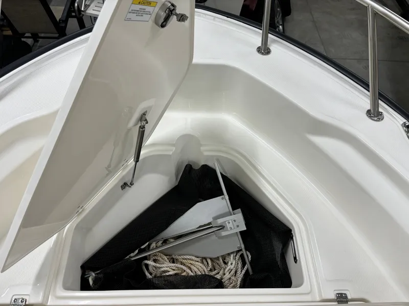 Slide: The Image of Boston Whaler 250 Dauntless 2024 - 23