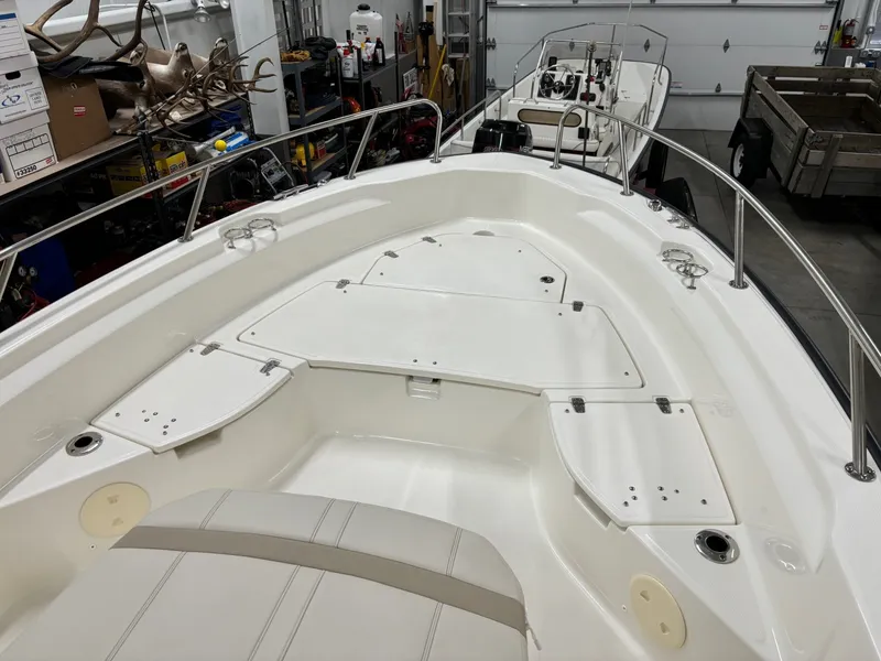 Slide: The Image of Boston Whaler 250 Dauntless 2024 - 24