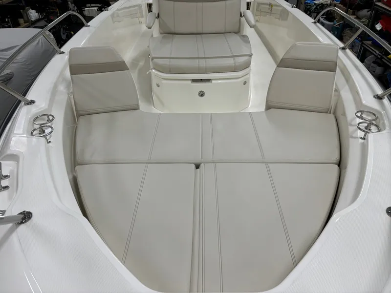 Slide: The Image of Boston Whaler 250 Dauntless 2024 - 25
